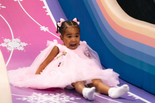Enjoy the Perfect Toddler Birthday Party Experience in Houston